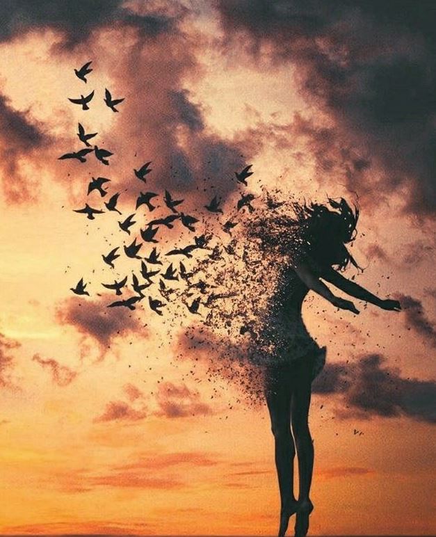 photo de l'activité de Myriam Gentillon